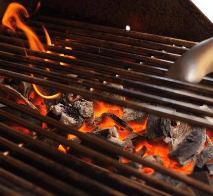 Lion Charcoal Tray For Lion Gas Grills (Set of 5)